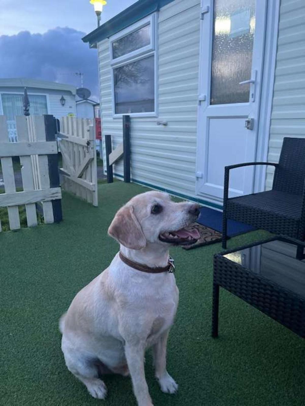 Sunnyside - Pet Friendly, Ingoldmells Exterior foto